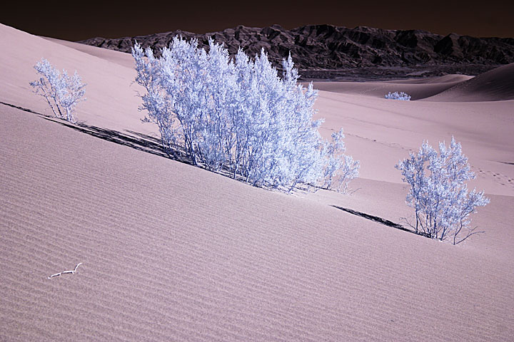 sand dunes