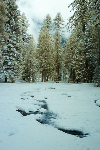 snowy creek